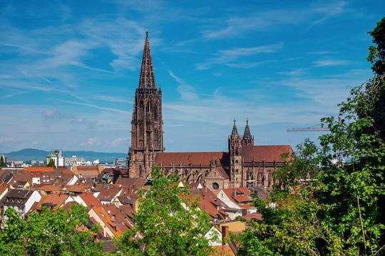 Freiburger Münster